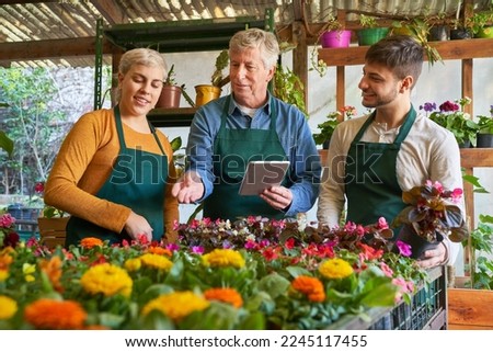 The owner of the nursery and employees in the gardener training take stock together