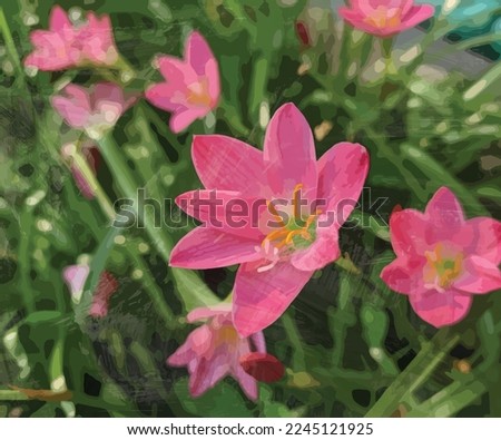 beautiful pink lily flower vector illustration watercolor template