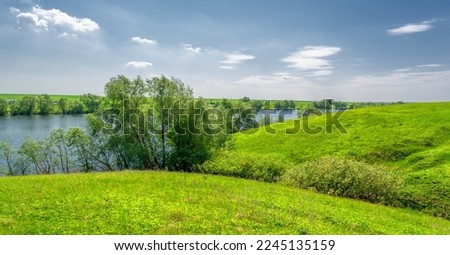 Spring photo, willow overgrown lake, bright greenery, blue sky with clouds, great spring mood