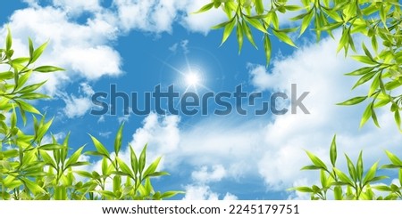 Sunny blue sky, clouds and green tree leaves. Bottom-up view of the sky.