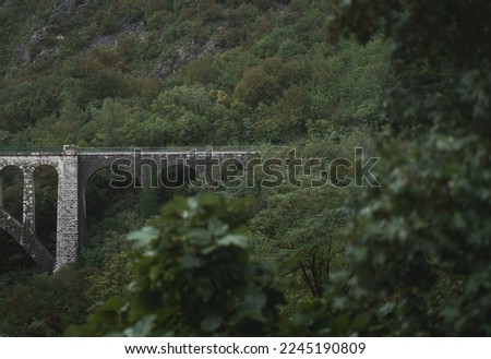 a stone bridge in the middle of a mountain fading into the green nature  With trees in the foreground and on the mountain in Italy 