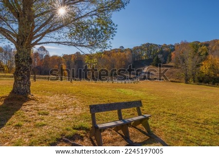 Morning sun rises over road and hillside it's ray enlighten a tree and bench in this autumn landscape on Roan Mountain, Tennessee, USA Royalty-Free Stock Photo #2245197005