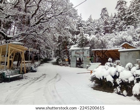 Beautiful snow in the yard of Borjomi-Kharagauli National Park Visitor Center, Borjomi, Georgia, Caucasus