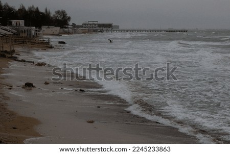 Evpatoria city (Crimea, Crimean peninsula) Waves near the Black Sea coast in stormy weather.