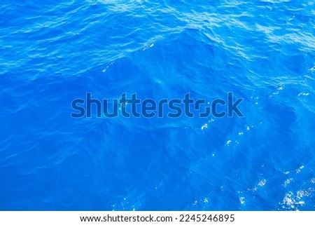Very nice sea water background or backdrop with selective focus. Small waves of natural water surface texture. Still calm ripples colorful blue wave in a river or ocean.