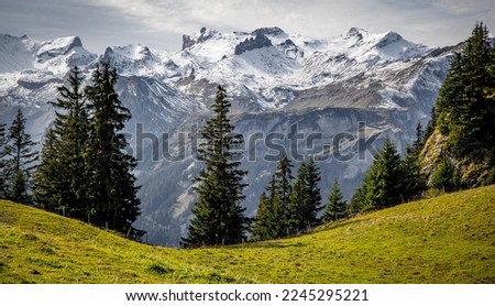 Popular mountain in the Swiss Alps called Schynige Platte in Switzerland - travel photography Royalty-Free Stock Photo #2245295221