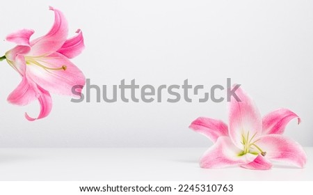 Pink lily flowers background with copy space for product presentation, greeting, invitation and brand template. Flower frame, banner size
