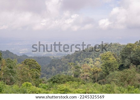 Landscape of green tea garden on the top mountain with cloudy anda blue sky. The photo is suitable to use for environment background, nature poster and nature content media.