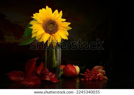 still life with sunflower. sunflower flower apples red viburnum in a beautiful still life