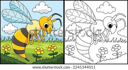 Hornet Animal Coloring Page Colored Illustration