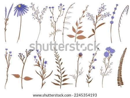 Wild flowers collection. Big set of floral blossom elements. Branches, leaves, herbs, plants. Garden, meadow, field collection leaf, foliage, branches. Bloom vector illustration isolated on white