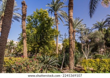 Palm garden of the monastery of Saint Mary El-Sourian in Wadi El Natrun, Egypt Royalty-Free Stock Photo #2245369107