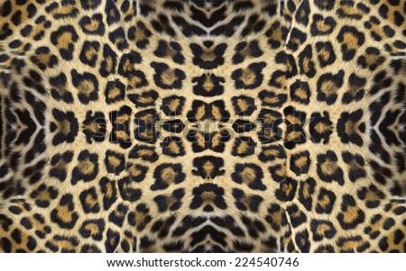 jaguar skins