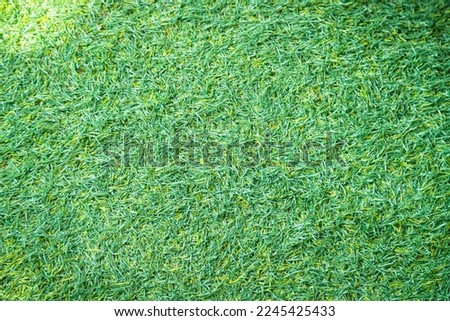 Green artificial grass texture natural background