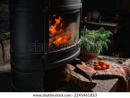 burning fireplace in a dark room with tangerines, plaid