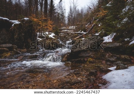 New years eve walk throught the beautiful forrest in Vysoká.
Winter 2022. Royalty-Free Stock Photo #2245467437