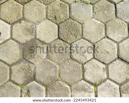 Hexagonal concrete or gray pavement slab or stone for floor. yard, backyard or paving the way. for 3D rendering of materials