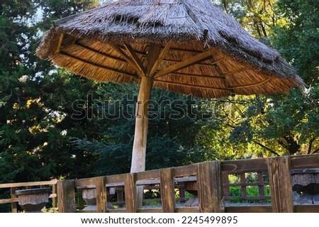 Straw reed roof umbrella outdoor in park in summer