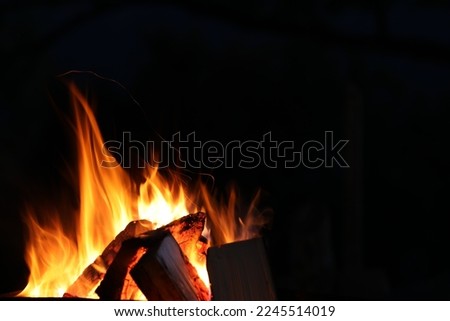Beautiful bright bonfire with burning wood outdoors at night, space for text Royalty-Free Stock Photo #2245514019