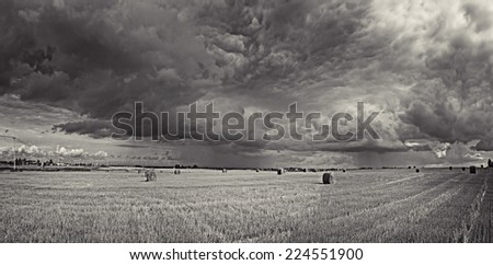 panorama of autumn landscape in the sky clouds clouds in the field of agriculture