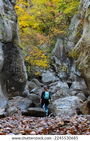Woman tourist going hiking in deciduous forest between rocks and stones. Colorful autumn nature hiker girl walking in national park in Paklenica National Park Croatia. Cold weather outerwear gear.