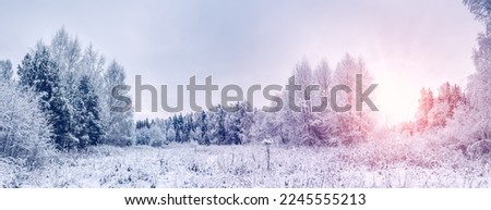 Sunrise in natural snowy park in winter