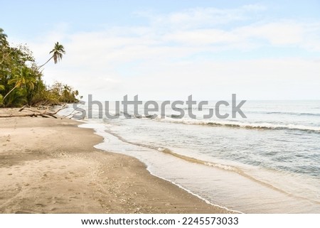 beach and sea, photo as a background, digital image