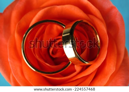 Wedding rings on wedding bouquet, close-up