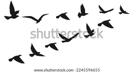 Vector silhouette of a flying bird. Inspiring ink for flash tattoos on the body. The concept of freedom and flight. Design element for tattoos, apps and websites Royalty-Free Stock Photo #2245596655