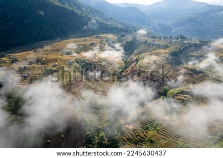 Aerial view of Ban Pa Bong Piang village in the post harvest season with fog, Chiang mai, Thailand