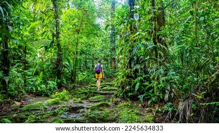 girl photographer walks through dense Costa Rican tropical rainforest; hiking through the jungle in Costa Rica's braulio carrillo national park near san jose Royalty-Free Stock Photo #2245634833