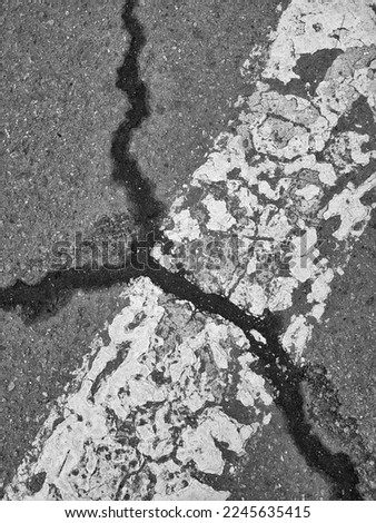 Car markings on asphalt with a crack. Concrete background with a copy space.