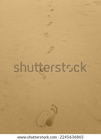 One pair of bare footprints  in soft seasand going from lower  to upper part of image 
