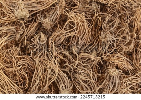 Dried Valerian root background. Valeriana officinalis with full depth of field. Top view. Flat lay Royalty-Free Stock Photo #2245713215
