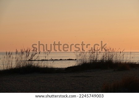                  Early morning at Fish Haul Beach. The sky is a beautiful orange over the ocean with marsh grasses in the forefront.              