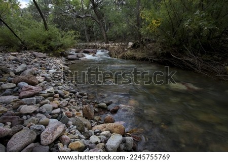 Creek water flows along rocky bank of Idlewilde Campground in Cave Creek Canyon, Coronado National Forest, Arizona, United States Royalty-Free Stock Photo #2245755769