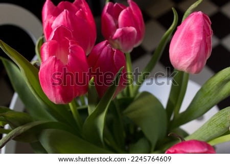 Close up pink tulips on white table top view