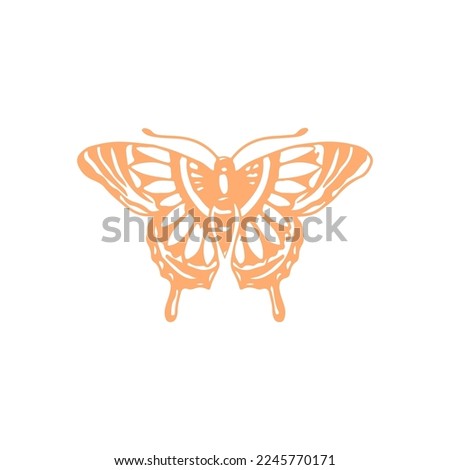 vector illustration of a beautiful butterfly
