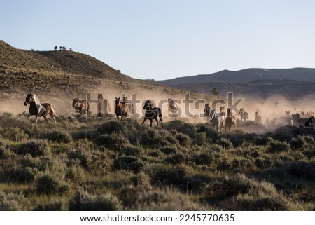 Horses running home to ranch. Royalty-Free Stock Photo #2245770635