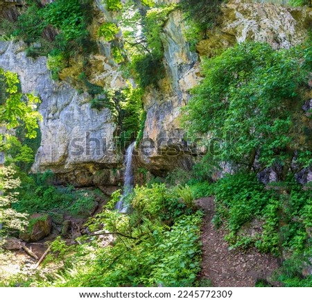 waterfall, cascade of a mountain river in a stone bed, summer season,panoramic view.