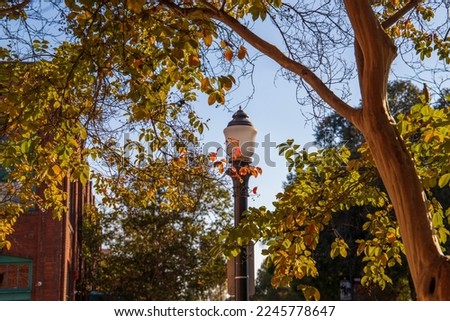 a tall black light post with a round light surrounded by a gorgeous autumn colored trees and red brick buildings with a clear blue sky in Pasadena California USA