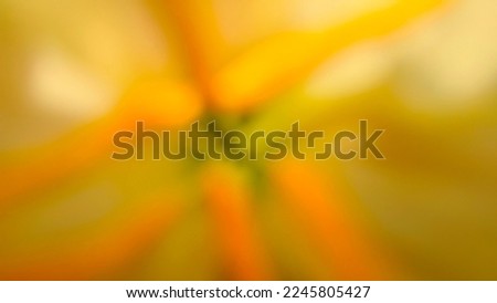 Blur flower background for simple wallpaper