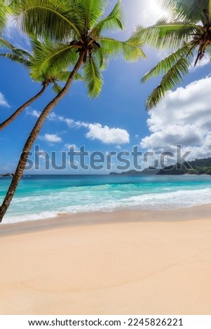 Sunny white sand beach with coconut palm and turquoise sea. Summer vacation and tropical beach concept.