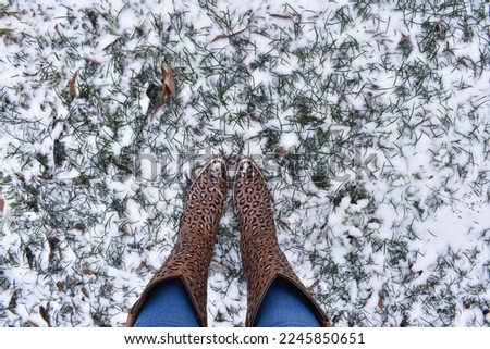 Top view of leopard print cowgirl boots in snow