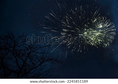Fireworks in the night sky, New Year's Eve