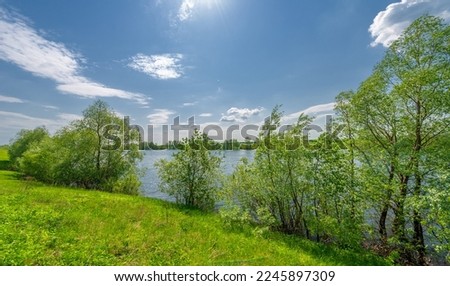 Spring photo, willow overgrown lake, bright greenery, blue sky with clouds, great spring mood