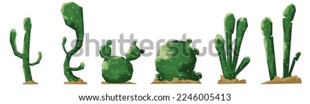 various cactus plant vector in modern flat style