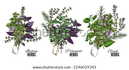 Set of hand drawn colorful bouquets of Italian, Greek and Provencal herbs sketch style, vector illustration isolated on white background. Natural organic plants, decorative design element Royalty-Free Stock Photo #2246029343