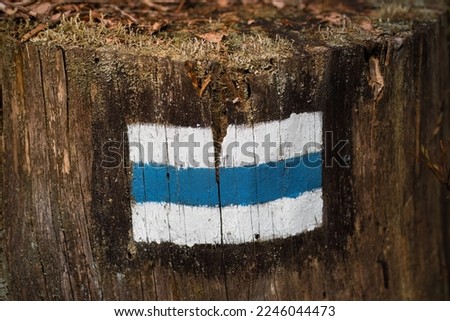 Blue trail. Marking the tourist trail. The sign is painted on trees, poles, rocks. Hiking, bicycle and mountain hiking trail, blue walking path