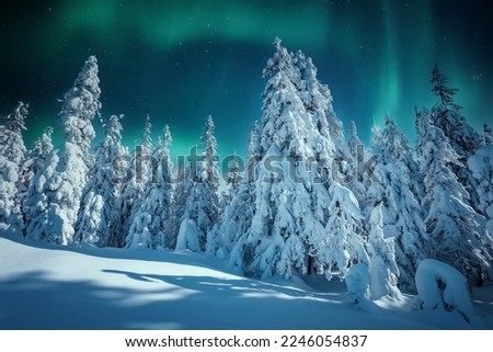 Amazing winter landscape. Wonderland in winter. Spectacular aurora borealis (northern lights) over forest through winter frosty pine trees in night scenery. Creative image. winter holiday concept. Royalty-Free Stock Photo #2246054837